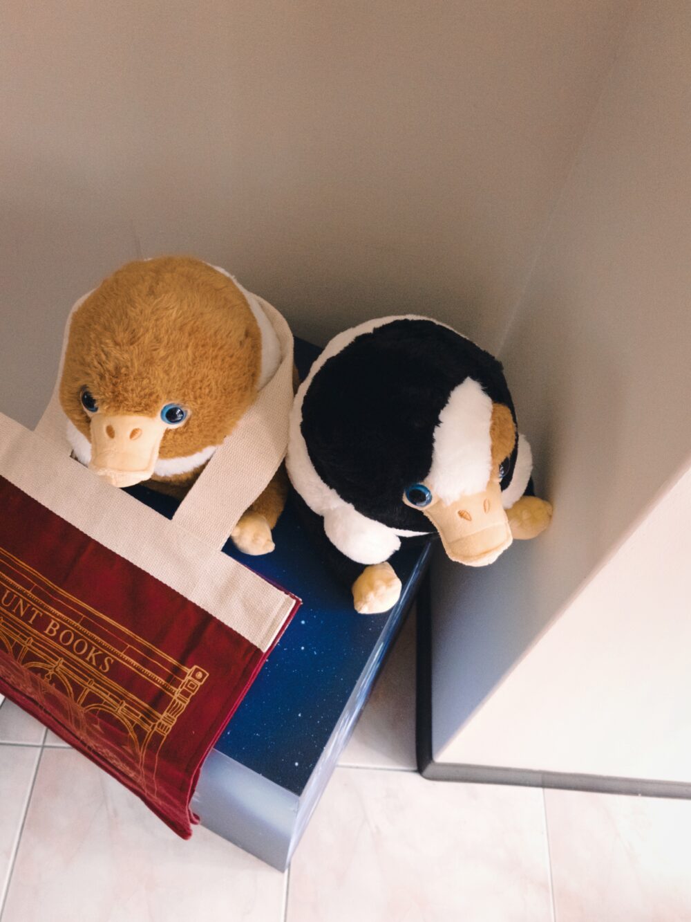 倫敦｜(🇬🇧)Hogwarts 燙金厚帆布