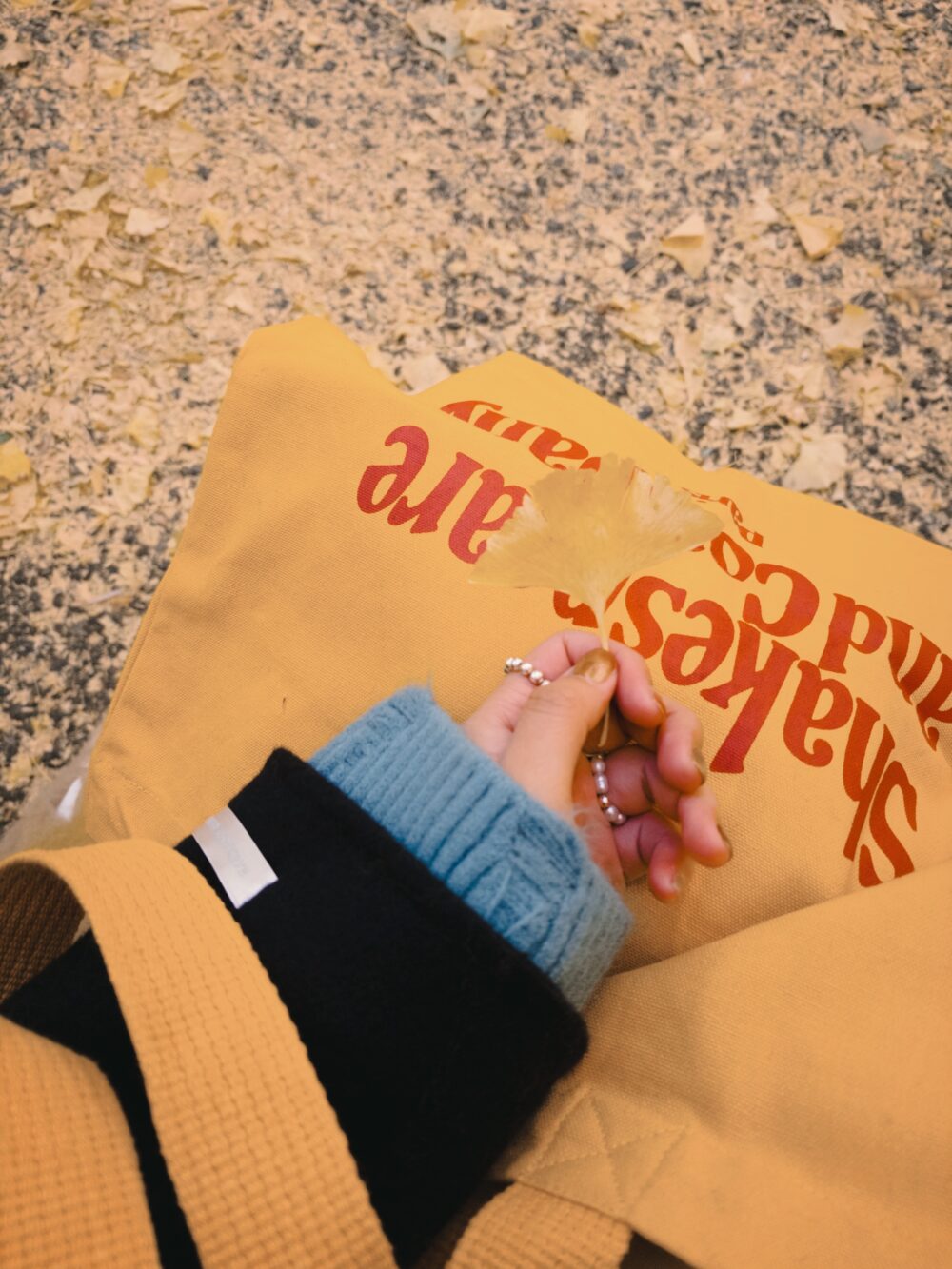 巴黎｜(🇫🇷) Shakespaere 帆布袋