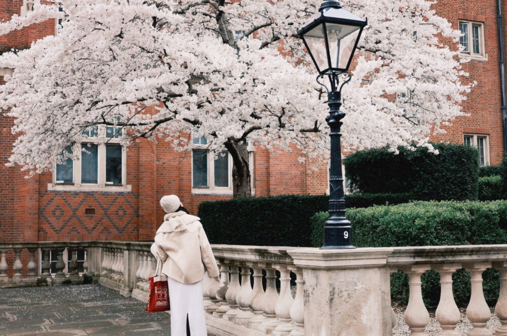 倫敦｜ (🇬🇧)Daunt Books 厚磅帆布袋