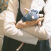 Disney｜ (🇫🇷)料理鼠王法棍版